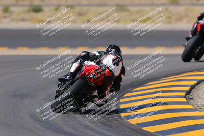 media/Oct-08-2022-SoCal Trackdays (Sat) [[1fc3beec89]]/Turn 11 Backside (1145am)/